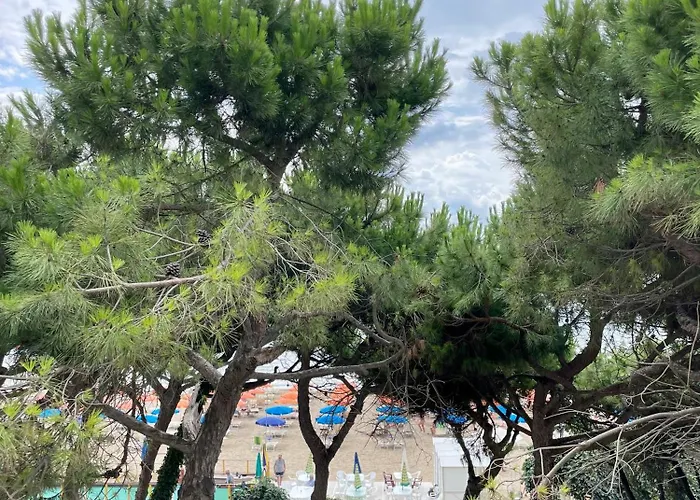 On The 311 Apartament