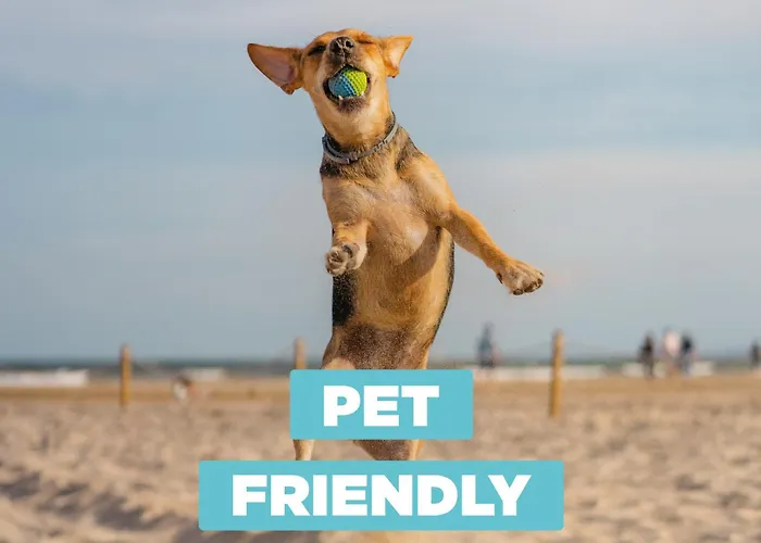 Apartament On The 311