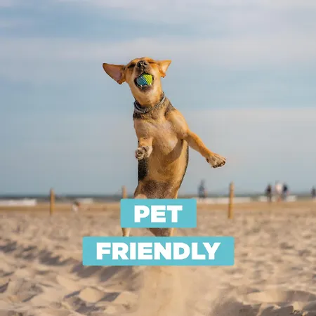 Appartement On The 311